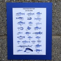 Fishing Records Print